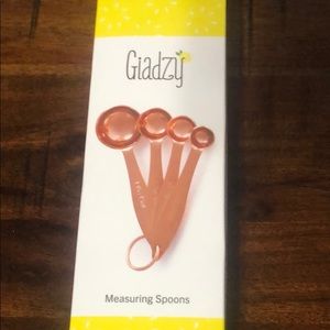 Giadzy Cooper Plated measuring spoons New